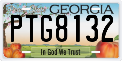 GA license plate PTG8132