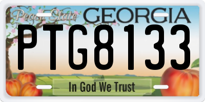 GA license plate PTG8133