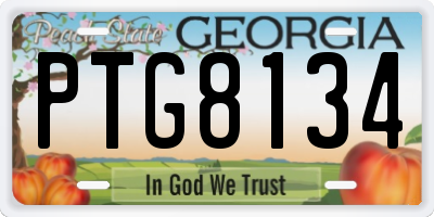 GA license plate PTG8134