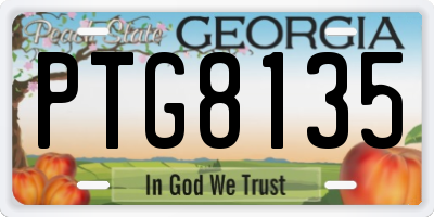 GA license plate PTG8135