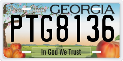 GA license plate PTG8136