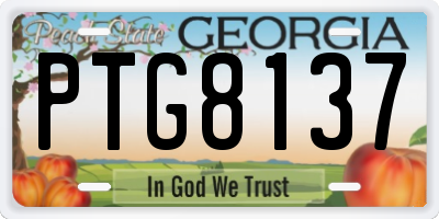 GA license plate PTG8137