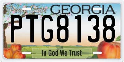 GA license plate PTG8138
