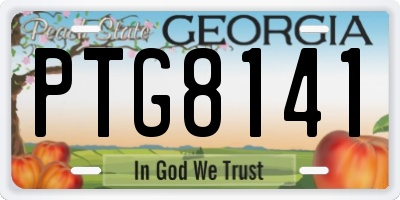 GA license plate PTG8141