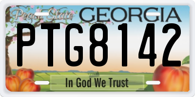 GA license plate PTG8142