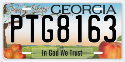 GA license plate PTG8163