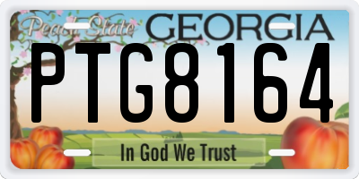 GA license plate PTG8164