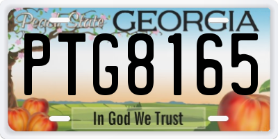 GA license plate PTG8165