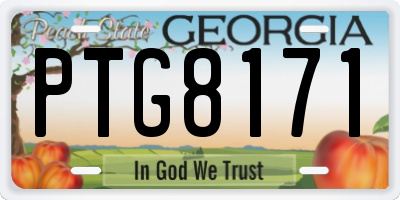 GA license plate PTG8171