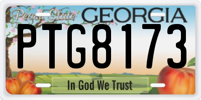 GA license plate PTG8173
