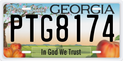 GA license plate PTG8174