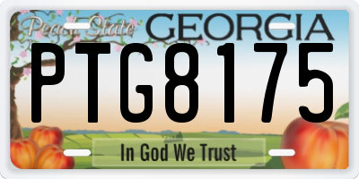 GA license plate PTG8175