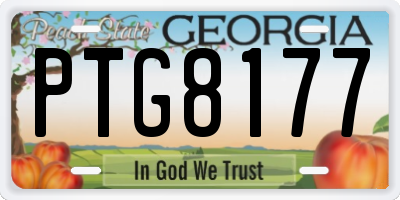 GA license plate PTG8177