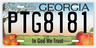GA license plate PTG8181