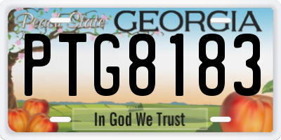 GA license plate PTG8183