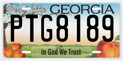 GA license plate PTG8189