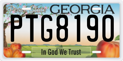 GA license plate PTG8190