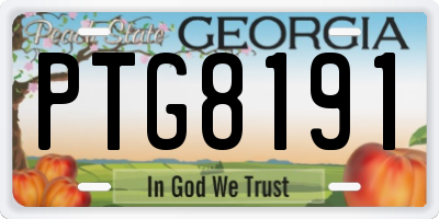 GA license plate PTG8191