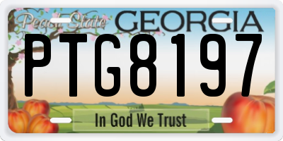 GA license plate PTG8197