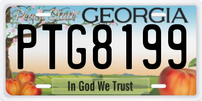 GA license plate PTG8199