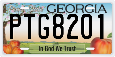 GA license plate PTG8201