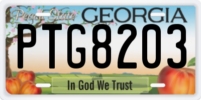 GA license plate PTG8203