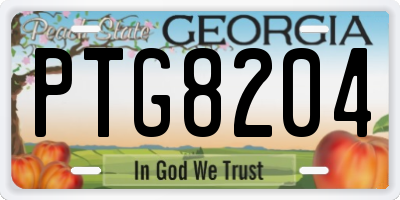 GA license plate PTG8204