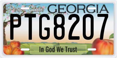 GA license plate PTG8207
