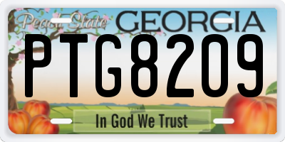 GA license plate PTG8209