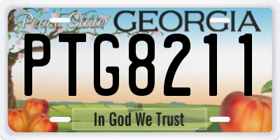 GA license plate PTG8211