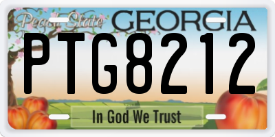 GA license plate PTG8212