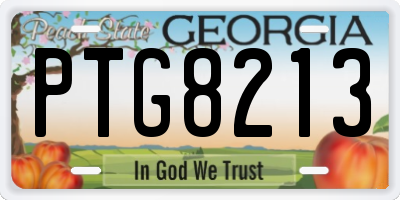 GA license plate PTG8213