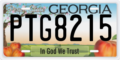 GA license plate PTG8215