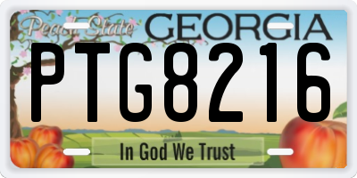 GA license plate PTG8216