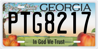 GA license plate PTG8217