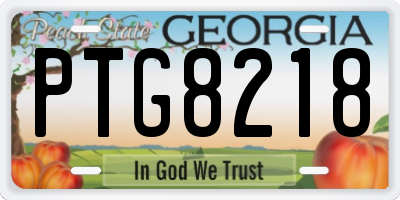 GA license plate PTG8218