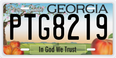 GA license plate PTG8219