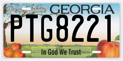 GA license plate PTG8221