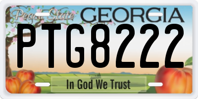GA license plate PTG8222