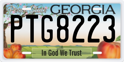 GA license plate PTG8223