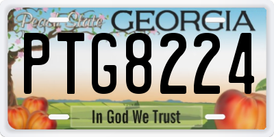 GA license plate PTG8224