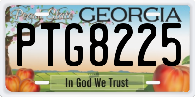 GA license plate PTG8225