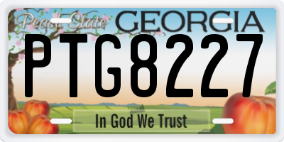 GA license plate PTG8227