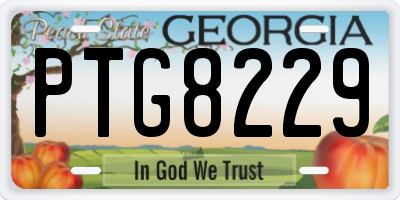 GA license plate PTG8229