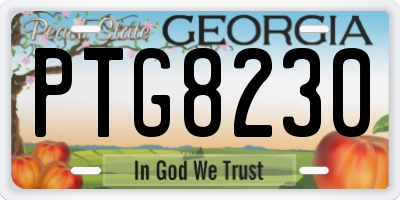 GA license plate PTG8230
