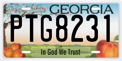 GA license plate PTG8231