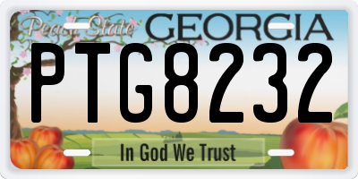 GA license plate PTG8232
