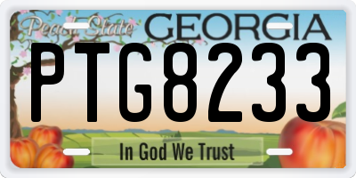 GA license plate PTG8233