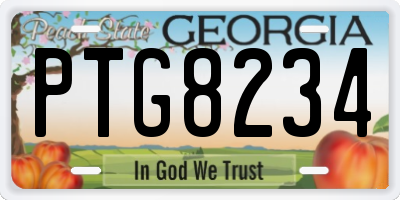 GA license plate PTG8234