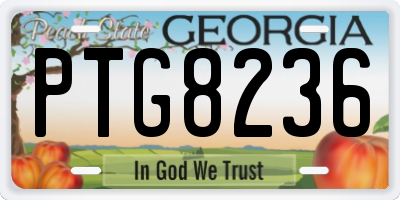 GA license plate PTG8236